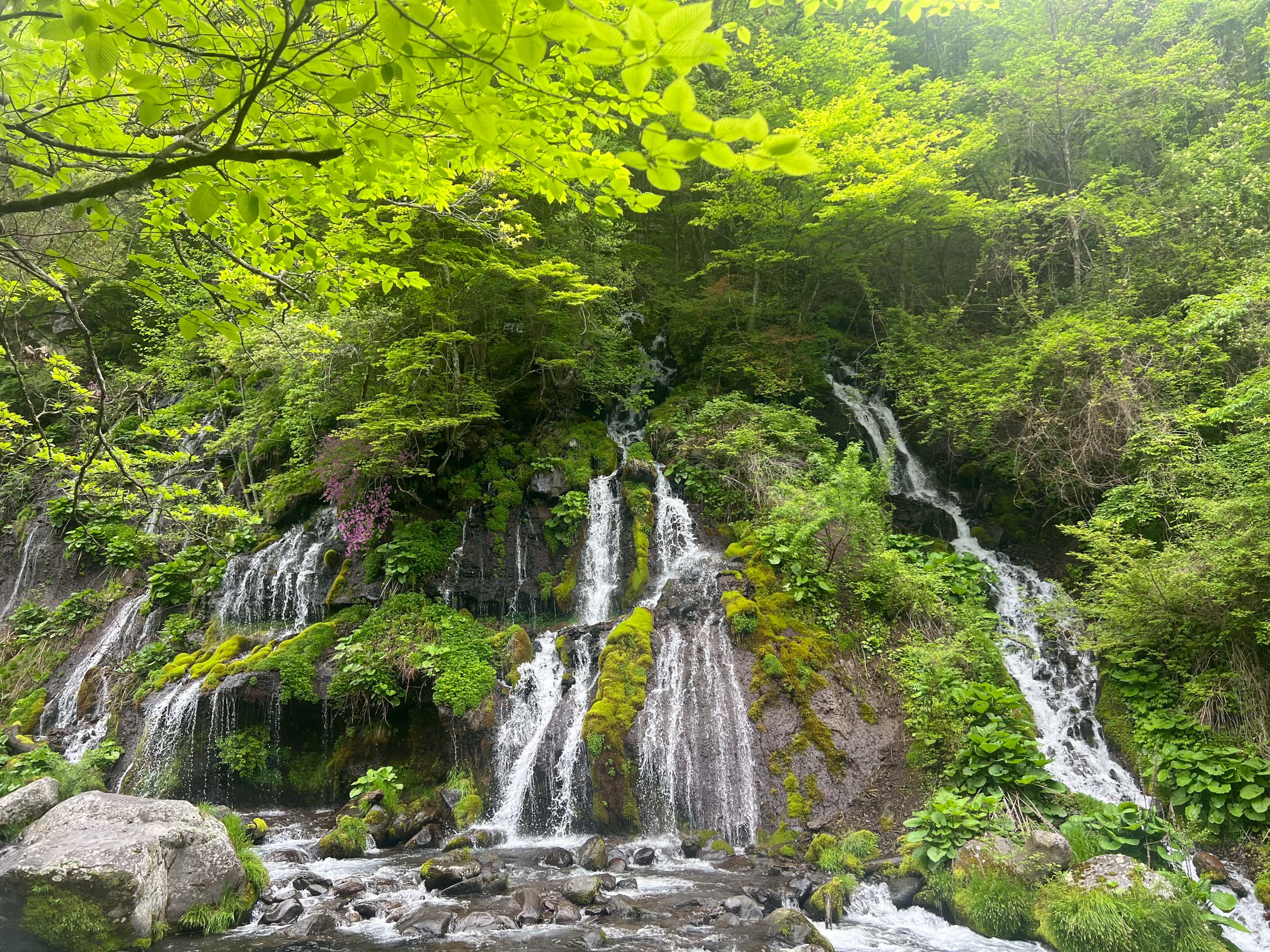八ヶ岳の水と緑に包まれるnehanの自然環境